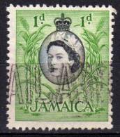 JAMAICA - 1956 YT 167 USED - Jamaica (...-1961)