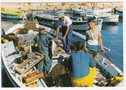 13 - Retour De Pêche - Editeur: Tardy à Marseille N° 98 - Artigianato