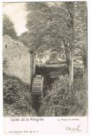 Postkaart / Carte Postale "Anhée - Vallée De La Molignée - Le Moulin De Denée" - Anhée