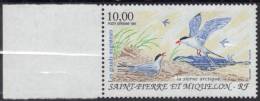 St PIERRE ET MIQUELON 1995 - PA 74  BdF - Oiseaux Sterne Arctique - Neuf Sans Charnière - Côte 4,50 €uros - Ongebruikt