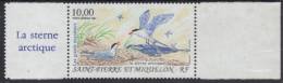 St PIERRE ET MIQUELON 1995 - PA 74  BdF Et Vignette - Oiseaux Sterne Arctique - Neuf Sans Charnière - Côte 4,50 €uros - Unused Stamps