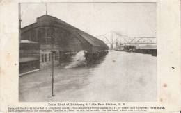 Train Shed Of Pittsburg & Lake Erie Station, S.S - Pittsburgh