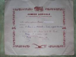- DONZY- COMICE AGRICOLE DE L'ARRONDISSEMENT De COSNE SUR LOIRE- Diplôme - Diploma & School Reports