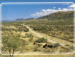 (130) Australia - NT - Alice Springs Mc Donnell Range - Alice Springs