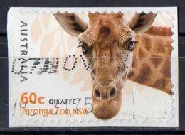 Australia 2012 Zoos 60c Giraffe Self-adhesive Used - Usati