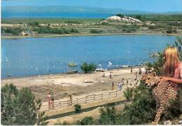 SIGEAN 1 - Etang De L'Oeil De CA - Vue Panoramique - Réserve Africaine - W-1 - Sigean