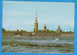 Leningrad Sankt Petersburg, Birds Russia, URSS.  Postal Stationery Postcard 1983 - Brieven En Documenten