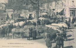 LE GRAND PRESSIGNY - La Foire Aux Bestiaux - Le Grand-Pressigny