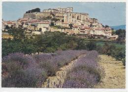 26 // GRIGNAN   Village Dominé Par Le Chateau Ou Séjourna Mme De Sévigné   CPSM   Edit J Cellard - Grignan