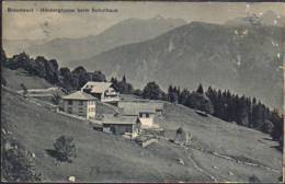 Braunwald - Braunwald