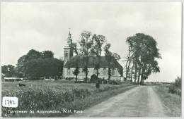 GRONINGEN * ANSICHTKAART * CPA * (1782)  TJAMSWEER Bij APPINGEDAM * NED. HERVORMDE KERK - Appingedam