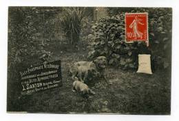 BEAUVAL 80 SOMME L.CARTON VETERINAIRE - Beauval