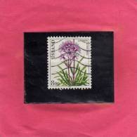 ISLANDA ICELAND ISLANDE 1983 FLORA FLOWERS LJOSBERI FLOWER PLANT LJOSBERI FIORI CROTONELLA FIORE PIANTA FLEURS USED - Used Stamps