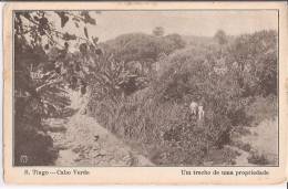 S. Tiago - Cabo Verde - Um Trecho De Uma Propriedade - Kaapverdische Eilanden