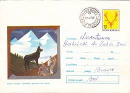 CAPRA NEAGRA, CHAMOIS, 1972,COVER STATIONERY, ENTIER POSTAUX, ROMANIA - Wild