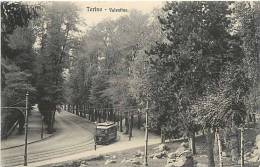 Mars13 463 : Torino  -  Valentino  -  Tramway - Transportmiddelen