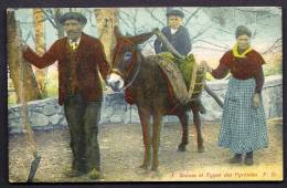 CPA ANCIENNE- FRANCE- DANS LES PYRÉNÉES- SCENES ET TYPES DE PAYSANS-  EN FAMILLE- ENFANT SUR L'ANE- TRES GROS PLAN - Aquitaine