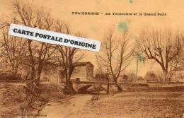 13 - PELISSANNE - LA TOULOUBRE ET LE GRAND PONT - Pelissanne