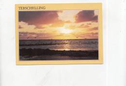 BT4676 Terschelling    2 Scans - Terschelling