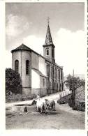 Petit-Fays (Monceau-en-Ardenne-Bièvre)+/-1940- Eglise-Vaches à L'Abreuvoir-Ed. Hôtel De La Vallée-J.Robinet-Grandjean" - Bievre