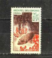 COMORES.  1966 Mérou  N° 38  Neuf  X X - Unused Stamps