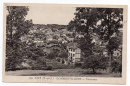 Cpsm 91 - Igny - Gommonvilliers - Panorama - (9x14 Cm) - Igny