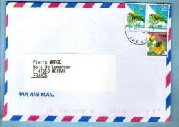Lettre Cover Par Avion Via Air Mail Japon Nippon Pour La France - CAD Nagaguma ? 15-03-2000? / 3 TP Oiseaux & Insecte - Storia Postale