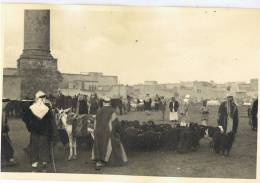 MOSSOUL ---photo --Marché , Troupeau --c4 - Iraq