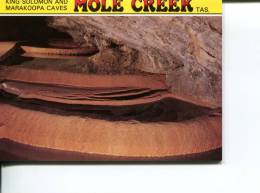 (folder 20) Australia - TS - Mole Creek Caves - Altri & Non Classificati