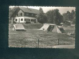 Suisse VD - Corcelettes Plage ( Grandson Lac De Neuchatel  Camping ) - Grandson