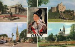 CP - PHOTO - CARDIFF - WELSH NATIONAL MUSEUM - THE CASTLE - LLANDAFF CATHEDRAL - GORSEDD GARDENS - MULTIVUES - 2088C - Glamorgan