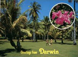 (695) Australia - NSW - Darwin Botanical Gardens - Darwin