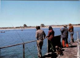 (695) Australia - SA - Ceduna - Smokey Bay Store - Fishermans - Other & Unclassified