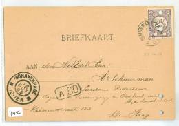 HANDGESCHREVEN BRIEFKAART Uit 1895 Van HALFWEG * HOUTRIJK En POLANEN Naar DEN HAAG * NVPH Nr. 33  (7442) - Covers & Documents