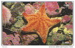 Isle Of Man, MAN 170, 2 £, Red Cushian Starfish, 2 Scans. - Isle Of Man