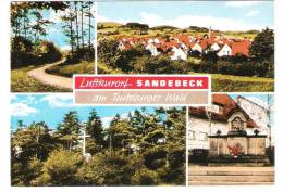 Germany - Sandebeck Bei Detmold Am Teutoburger Wald - Steinheim