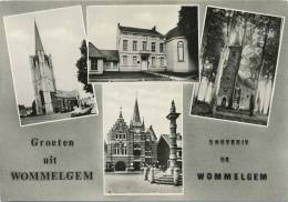 Wommelgem :  Groeten Uit   ( Groot Formaat )  Geschreven - Wommelgem