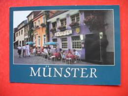 MUNSTER CAVETE - Muenster