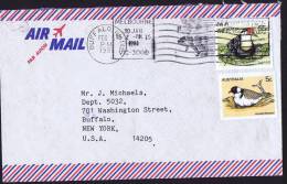 1981  Air Letter To USA  55c Lotus Bird, 5c Hooded Dotterel - Storia Postale