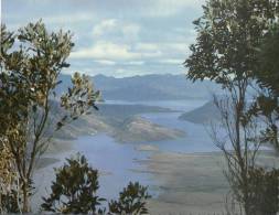 (126) Australia - TAS - New Lake Pedder - Wilderness