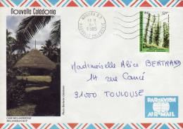 NOUVELLE CALEDONIE NOUMEA 1985 CASE MELANESIENNE FLORE CALEDONIENNE LETTRE PAR AVION STAMP TIMBRE MARCOPHILIE - Brieven En Documenten