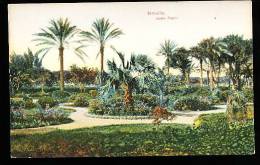 EGYPTE ISMAEL / Jardin Public / - Ismailia