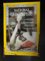 National Geographic Magazine   February 1970 - Ciencias