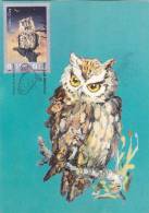 OIES, OWL, CM, MAXICARD, 2008, ROMANIA - Ganzen