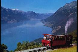 BRIENZER ROTHORN BEI GELDRIED - Matériel