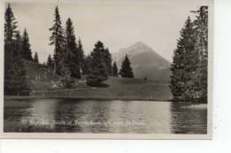 Lac Des Joncs Et Teysachaux Sur Châtel St. Denis 1933 - Châtel-Saint-Denis