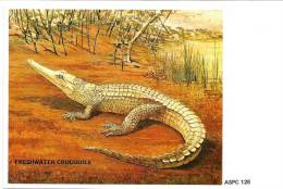 AUSTRALIA MAXICARD CROCODILE ANIMAL NOT STAMPED ND(1980/81) READ DESCRIPTION !!! - Brieven En Documenten
