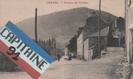 CPA CHANAC LOZERE AVENUE DU TRIADOU - Chanac