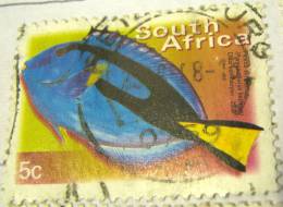 South Africa 2000 Fish Palette Surgeon 5c - Used - Oblitérés