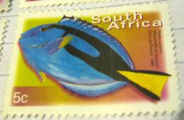 South Africa 2000 Fish Palette Surgeon 5c - Used - Oblitérés